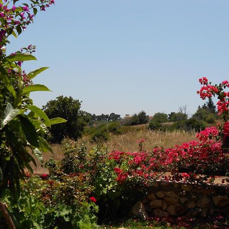 Livadaki Village Hotel Skala  Bagian luar foto