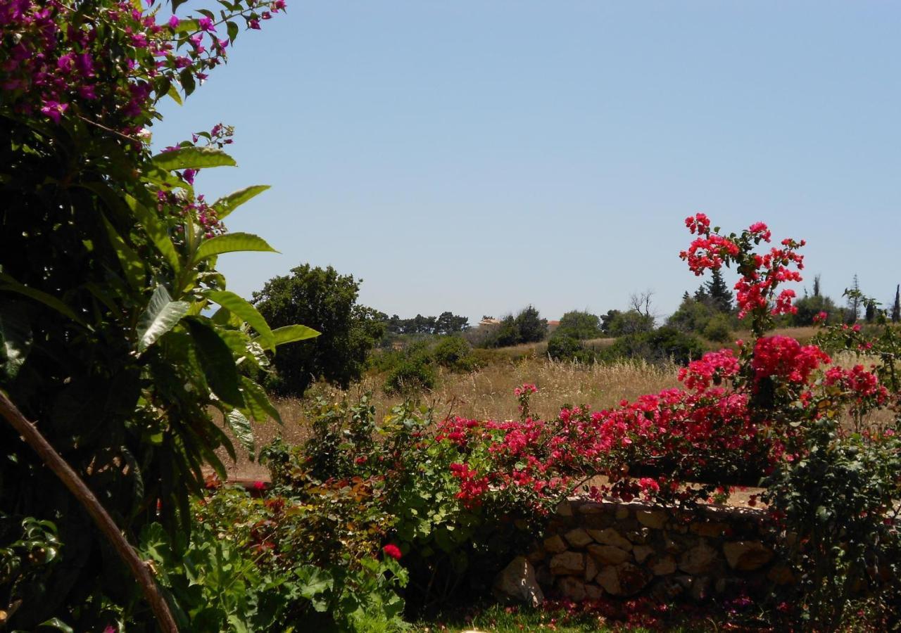 Livadaki Village Hotel Skala  Bagian luar foto