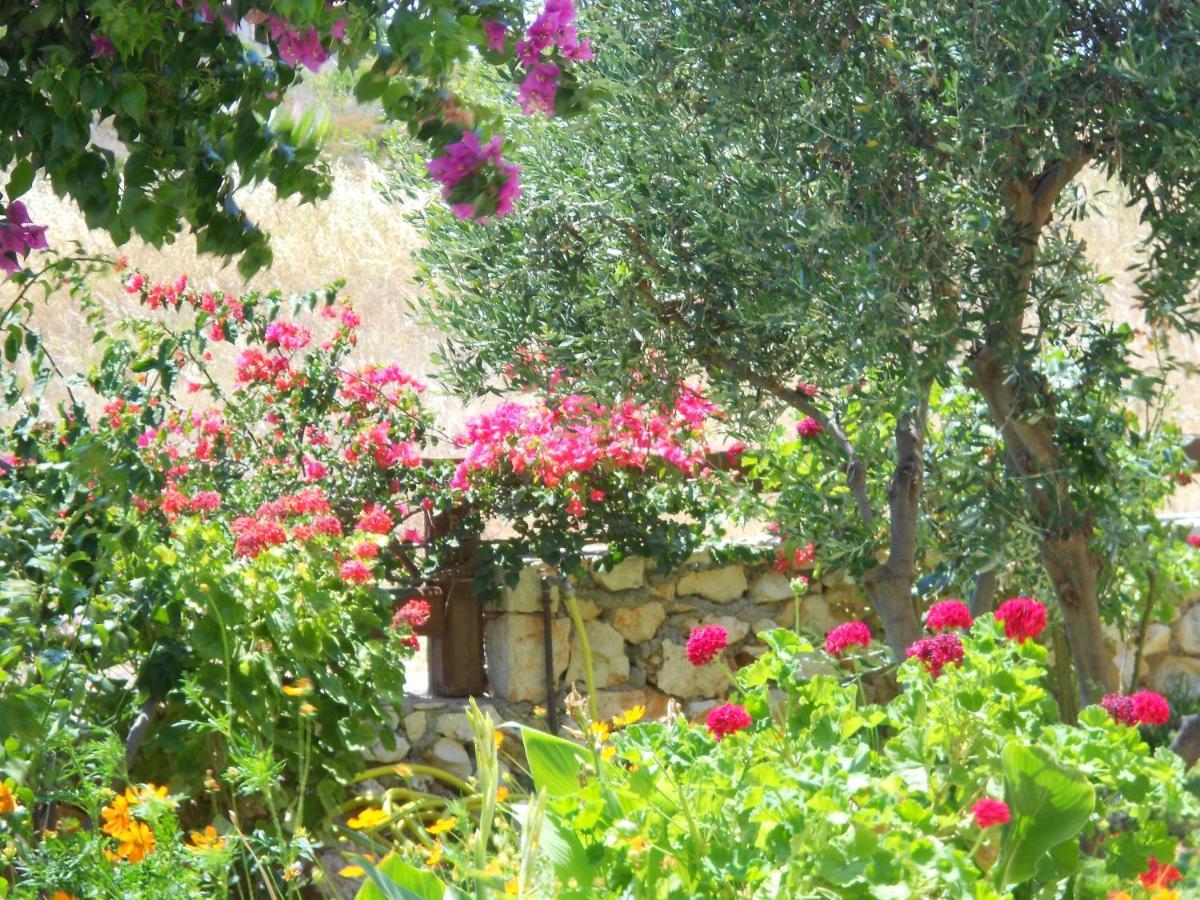 Livadaki Village Hotel Skala  Bagian luar foto