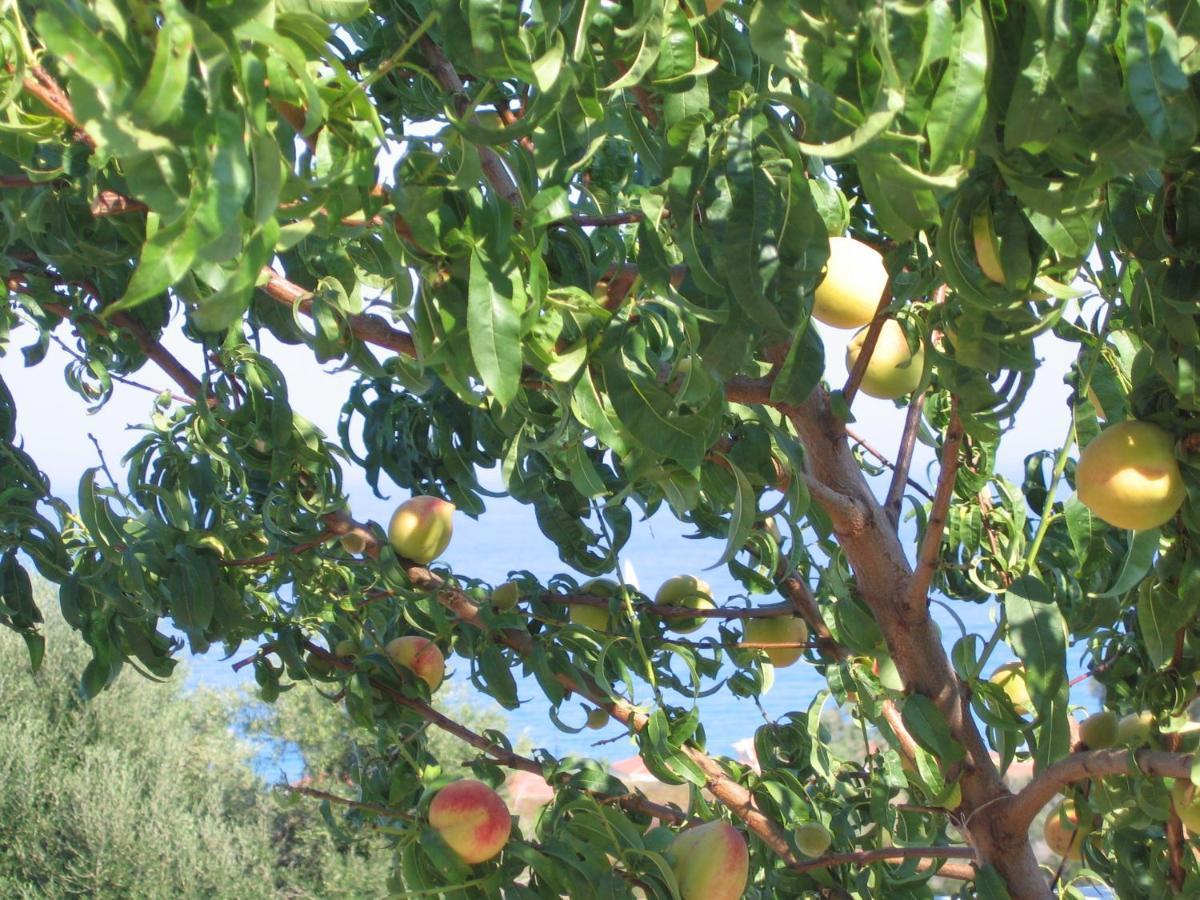Livadaki Village Hotel Skala  Bagian luar foto
