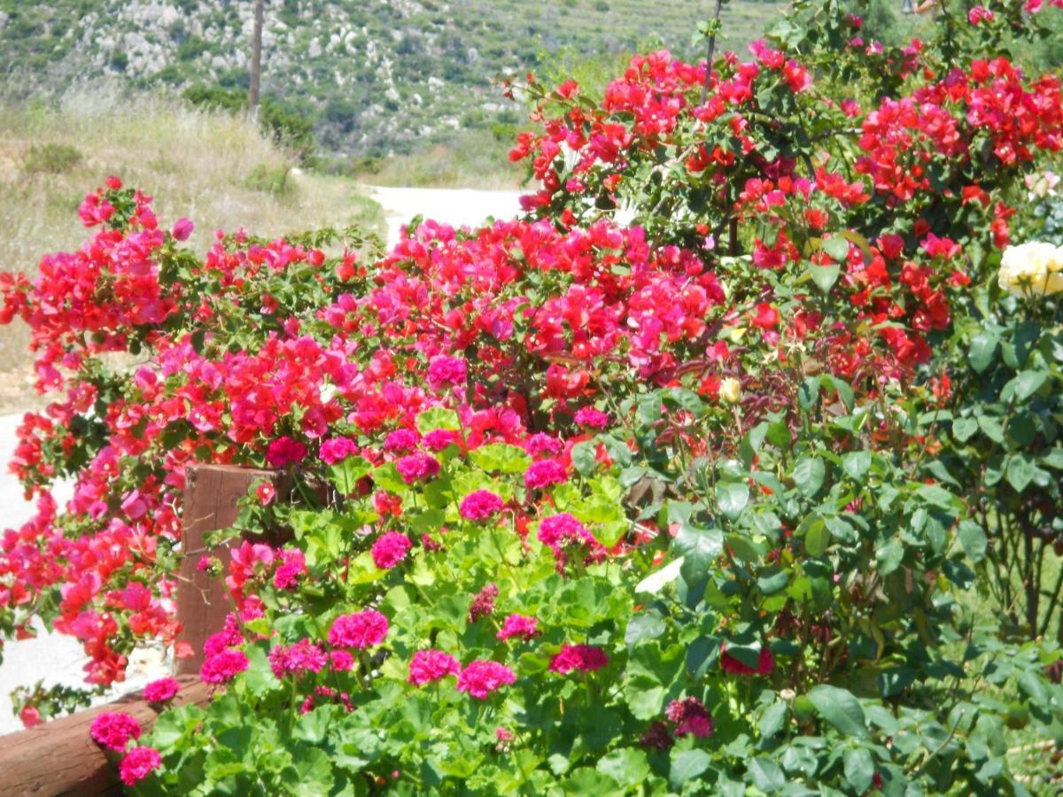 Livadaki Village Hotel Skala  Bagian luar foto